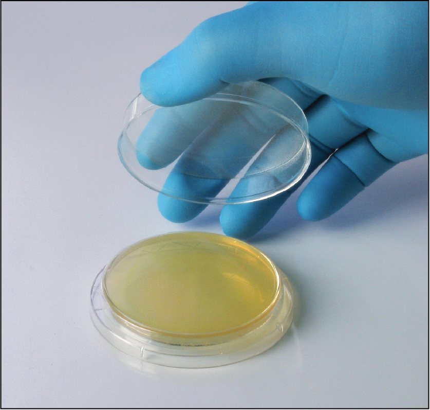 Environment Monitoring System Medical Specialties Distributors, LLC